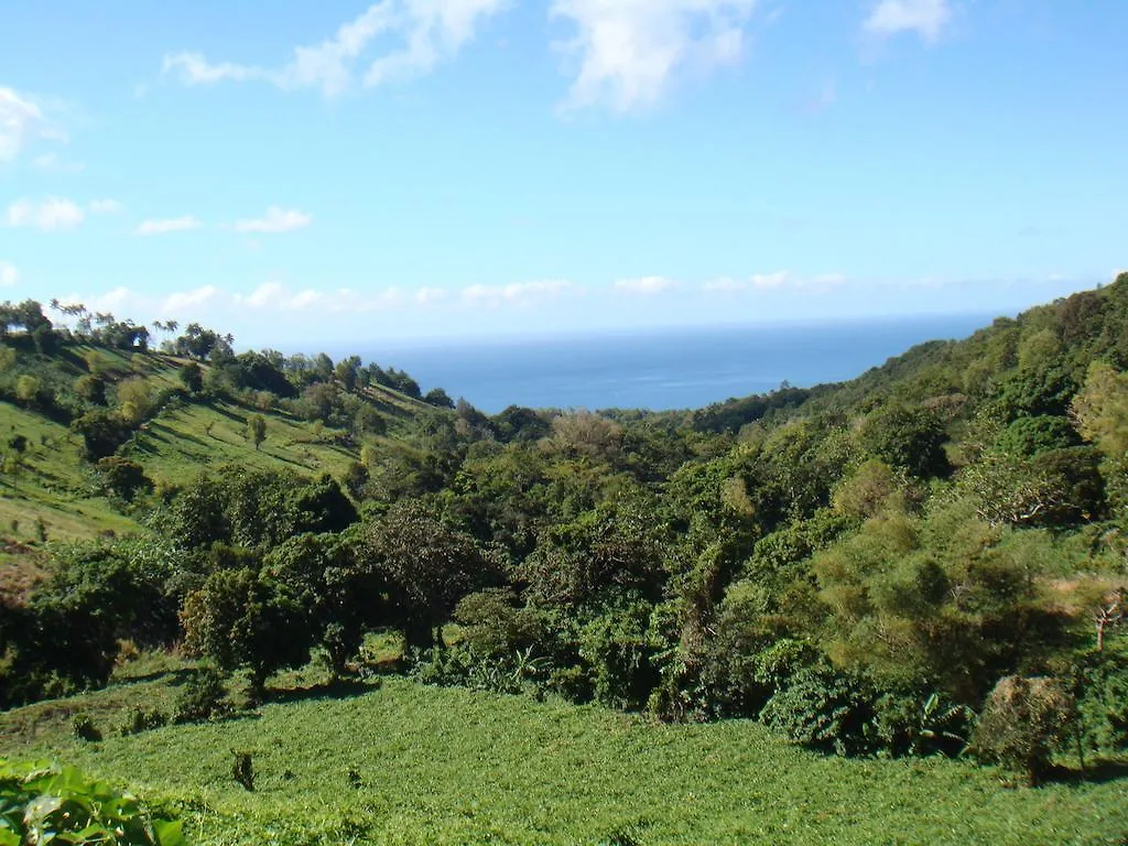 Holiday home L'Eden Des Colibris Villa Vieux-Habitants Guadeloupe